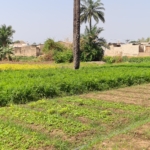 Programme AGORA : Bilan positif pour 20 jeunes entrepreneurs du secteurs  agricole du Borgou